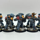 Warhammer 40k: Space Marines Space Wolves Intercessors - Well Painted (BI098)