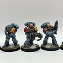 Warhammer 40k: Space Marines Space Wolves Intercessors - Well Painted (BI098)