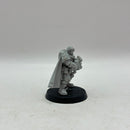 Warhammer 40k: Space Marines Ultramarines Sergeant Telion (AF011)