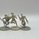 Warhammer 40k: Drukhari Dark Eldar Wyches (AD128)