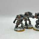 Warhammer 40k: Space Marines Space Wolves Metal Wulfen (AH021)