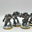 Warhammer 40k: Space Marines Space Wolves Metal Wulfen (AH021)
