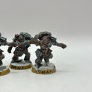 Warhammer 40k: Space Marines Space Wolves Metal Wulfen (AH021)