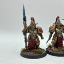 Warhammer 40k: Adeptus Custodes Custodian Wardens - Well Painted (AD028)