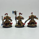 Warhammer 40k: Adeptus Custodes Allarus Custodians - Well Painted (AZ109)