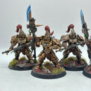 Warhammer 40k: Adeptus Custodes Custodian Guard - Well Painted (AF106)