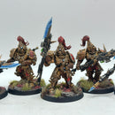 Warhammer 40k: Adeptus Custodes Custodian Guard - Well Painted (AH098)