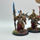 Warhammer 40k: Adeptus Custodes Custodian Wardens - Well Painted (AD139)