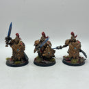 Warhammer 40k: Adeptus Custodes Custodian Guard/Shield Captains - Well Painted (AT134)