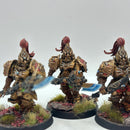 Warhammer 40k: Adeptus Custodes Custodian Guard - Well Painted (BJ119)