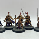 Warhammer 40k: Adeptus Custodes Vigilator Squad - Well Painted (AW091)