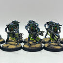 Warhammer 40k: Necron Warriors - Well Painted (AC030)