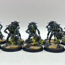 Warhammer 40k: Necron Warriors - Well Painted (AW089)