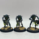 Warhammer 40k: Necron Warriors - Well Painted (AW089)