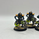 Warhammer 40k: Necron Immortals - Well Painted (AW072)