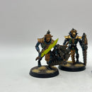 Warhammer 40k: Necron Lychguard - Well Painted (AF112)