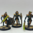 Warhammer 40k: Necron Lychguard - Well Painted (AF112)