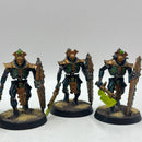 Warhammer 40k: Necron Lychguard - Well Painted (AF112)