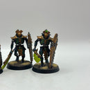 Warhammer 40k: Necron Lychguard - Well Painted (AF112)