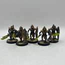 Warhammer 40k: Necron Lychguard - Well Painted (AC015)