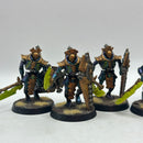 Warhammer 40k: Necron Lychguard - Well Painted (AC015)