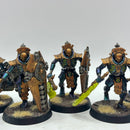 Warhammer 40k: Necron Lychguard - Well Painted (AC015)