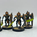 Warhammer 40k: Necron Lychguard - Well Painted (AC015)