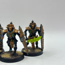 Warhammer 40k: Necron Lychguard - Well Painted (AC015)