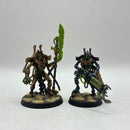 Warhammer 40k: Necron Overlord and Royal Warden - Well Painted (AF104)