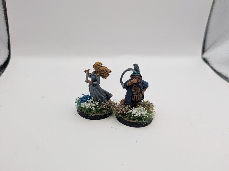 Middle-Earth SBG Tom Bombadil & Goldberry (AD105)