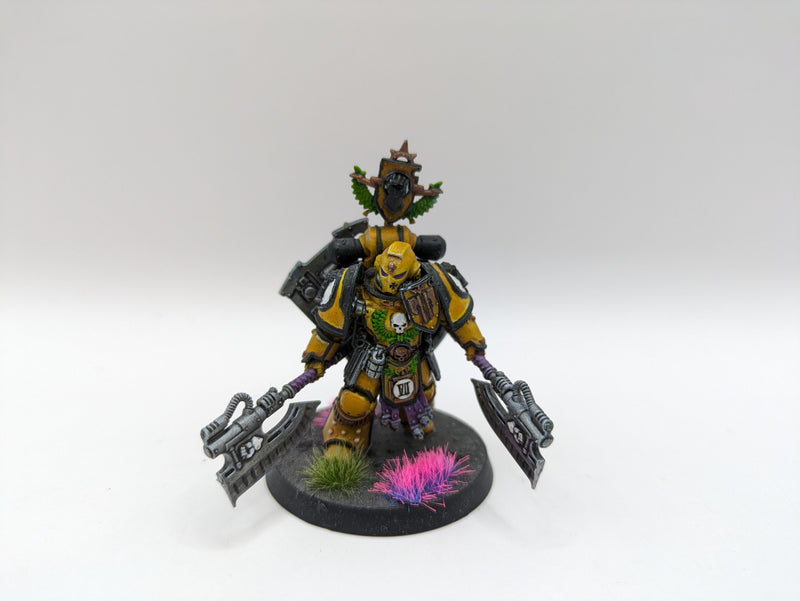 Warhammer 30k/40k: Space Marine Imperial Fist Fafnir Rann (AW189)