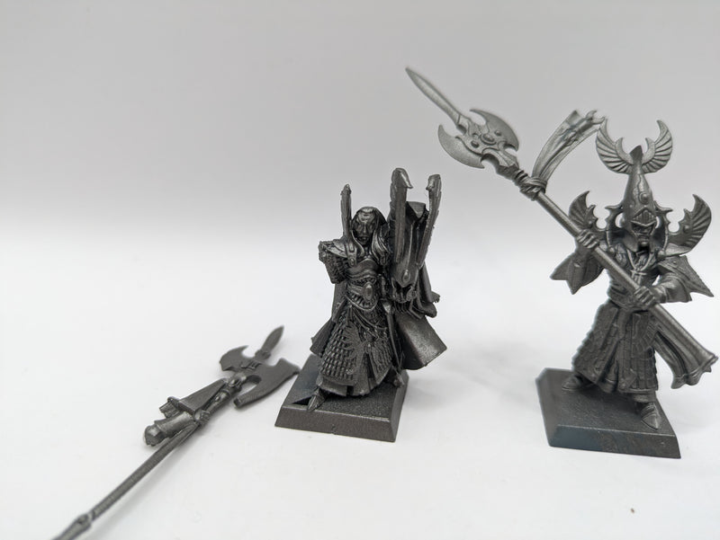Warhammer Fantasy/Old World: High Elves Captain Caradryan of the Pheonix Guard (BA152)
