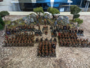 Warhammer Fantasy/Old World: Dark Elves Army - Well Painted RE (AB864)