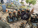 Warhammer Fantasy/Old World: Dark Elves Army - Well Painted RE (AB864)