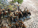 Warhammer Fantasy/Old World: Dark Elves Army - Well Painted RE (AB864)