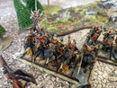 Warhammer Fantasy/Old World: Dark Elves Army - Well Painted RE (AB864)