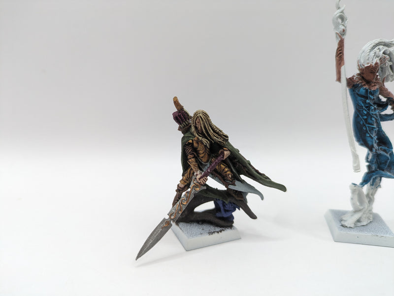Warhammer Fantasy/Old World: Wood Elves Spellweaver and Hero with Great Weapon Finecast (BC112)