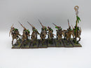 Warhammer Fantasy/Old World: Wood Elves Glade Riders (AE066)