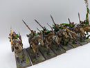 Warhammer Fantasy/Old World: Wood Elves Glade Riders (AE066)