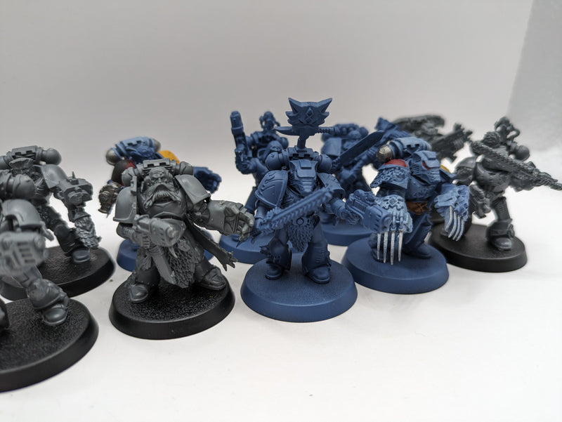 Warhammer 40k: Space Marine Space Wolves Grey Hunters, Rune Priest and Captain (BA149)