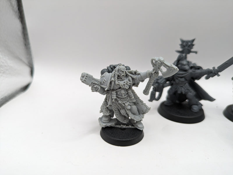 Warhammer 40k: Space Marine Space Wolves Grey Hunters, Rune Priest and Captain (BA149)