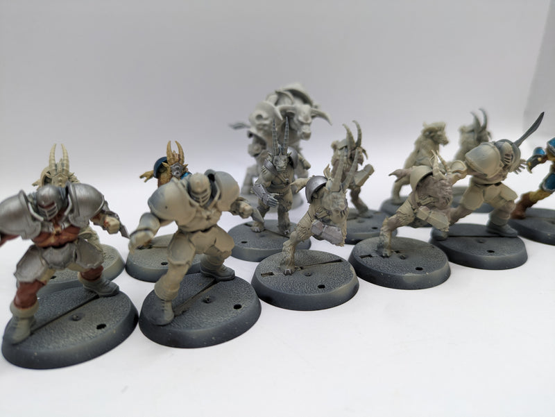 Warhammer Blood Bowl: Chaos Chosen Team with Minotaur (AW207)