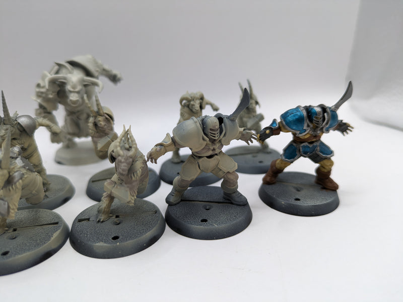 Warhammer Blood Bowl: Chaos Chosen Team with Minotaur (AW207)