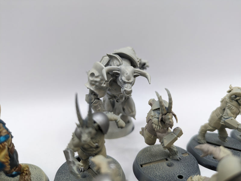 Warhammer Blood Bowl: Chaos Chosen Team with Minotaur (AW207)