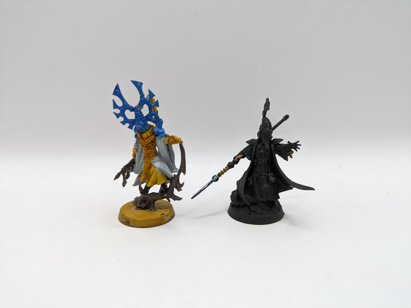 Warhammer 40k: Aeldari Bonesinger and Farseer (AT068)