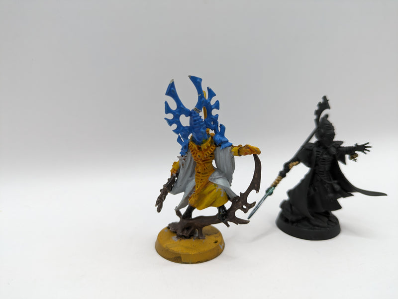 Warhammer 40k: Aeldari Bonesinger and Farseer (AT068)