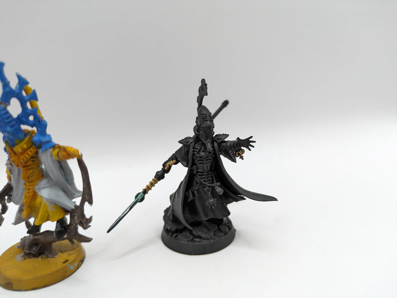 Warhammer 40k: Aeldari Bonesinger and Farseer (AT068)