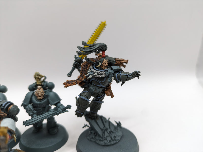 Warhammer 40k: Space Marines Space Wolves Ragnar and Blood Claws (AA092)