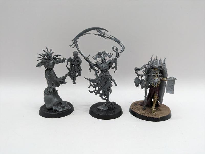 Age of Sigmar: Ossiarch Bonereapers Characters (BA183)
