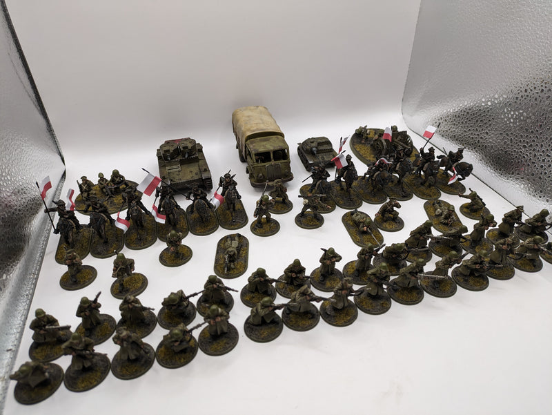 Bolt Action: Poland Army - Nicely Painted (AB986)